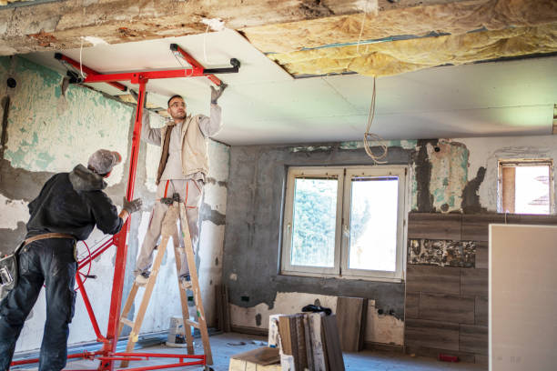 Best DIY Insulation Kits and Guidance in Webster City, IA